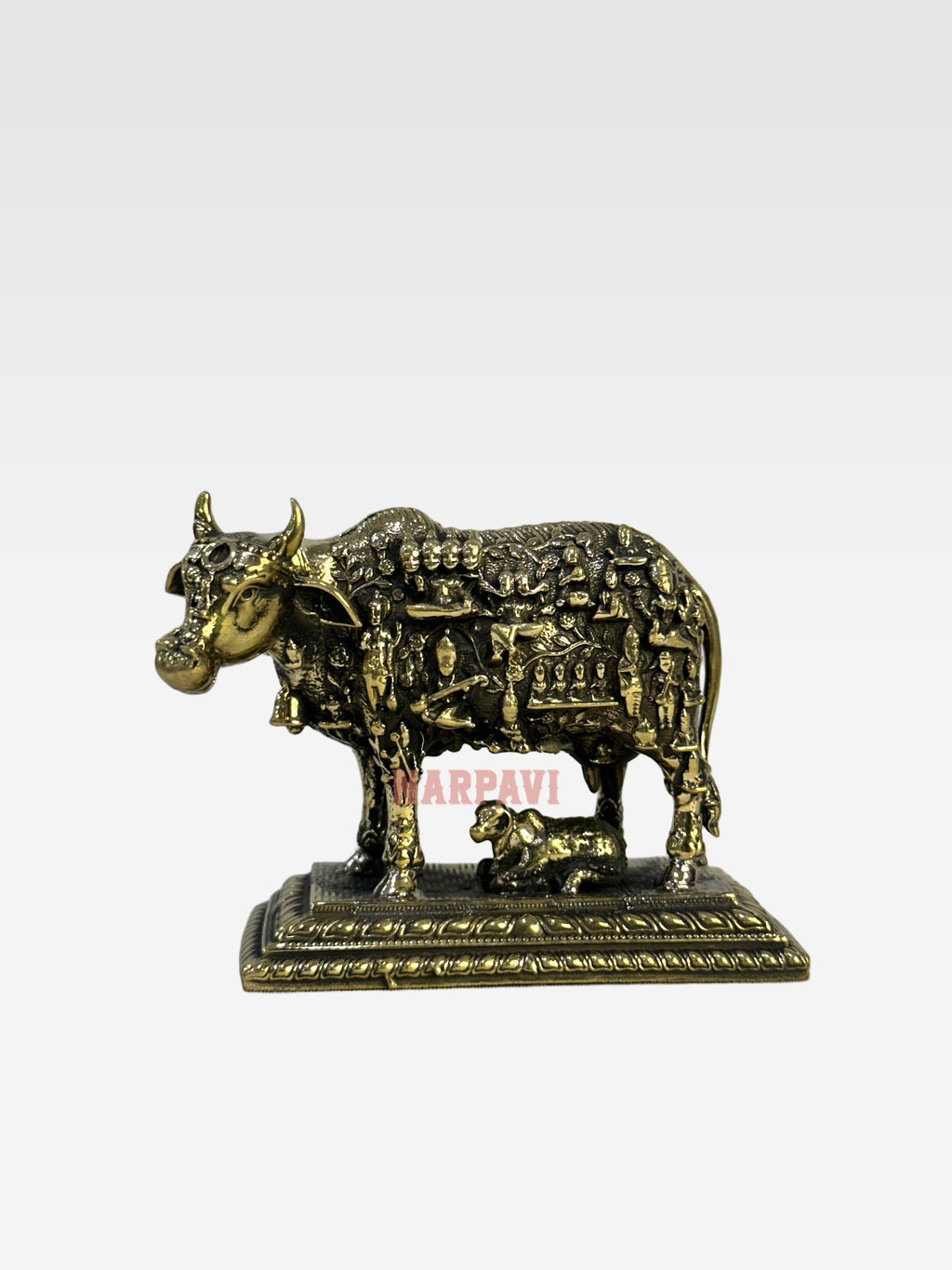 SHT COW FACE KAMADHENU A