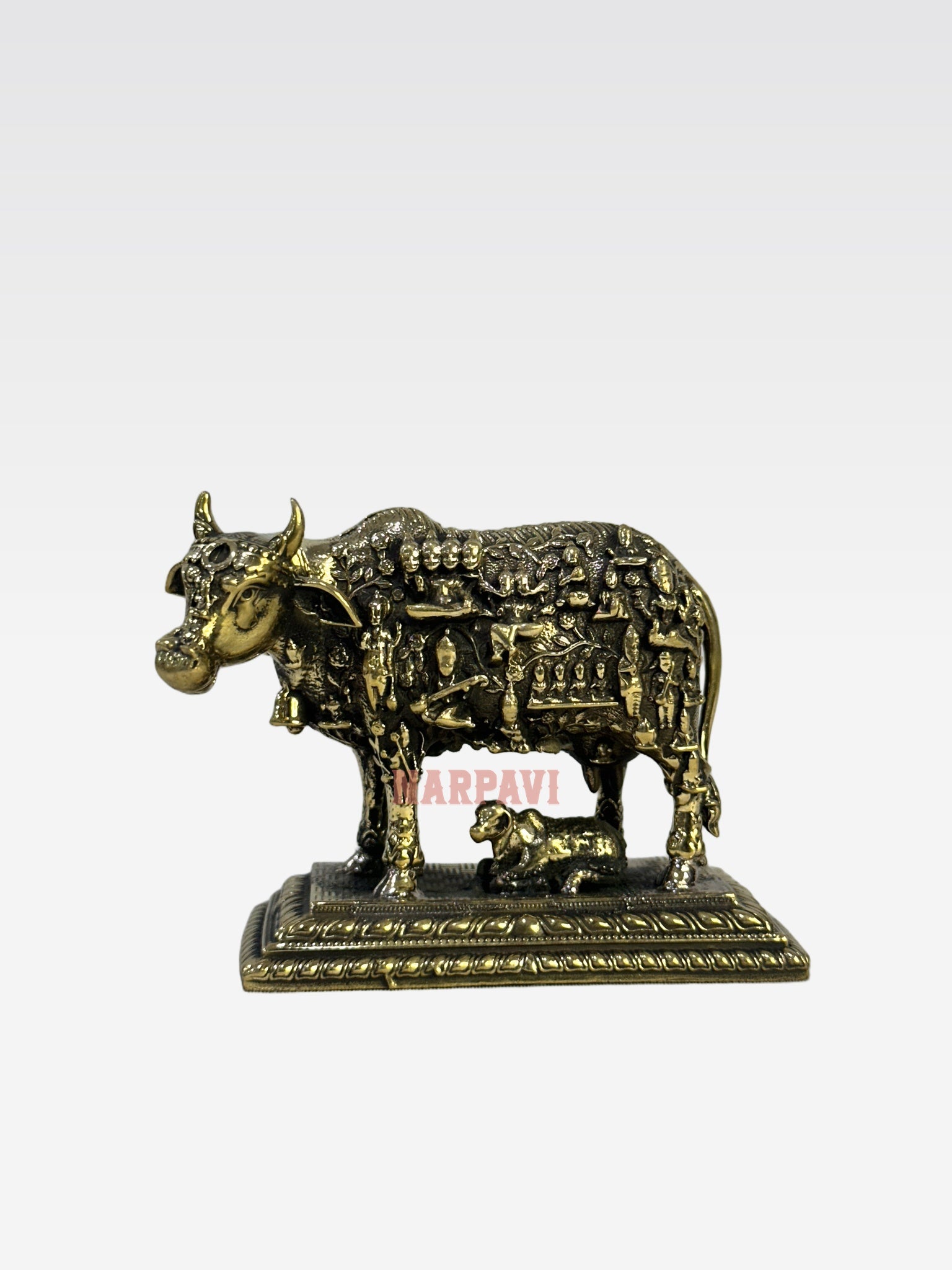 SHT COW FACE KAMADHENU A