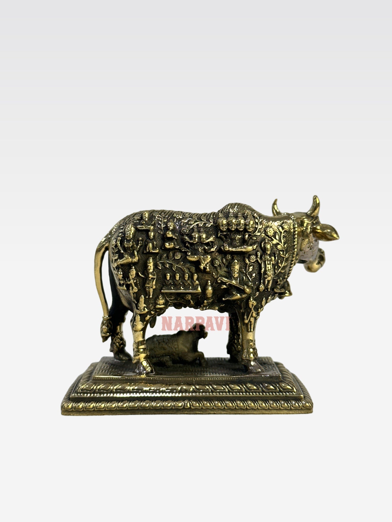 SHT COW FACE KAMADHENU A