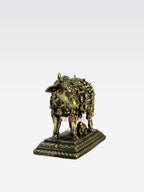 SHT COW FACE KAMADHENU A