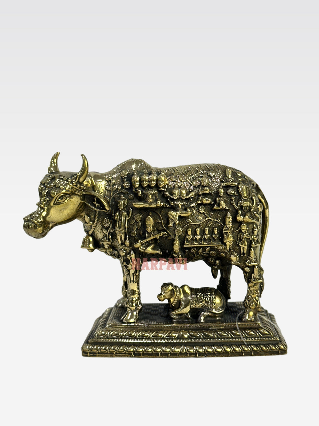 SHT COW FACE KAMADHENU B