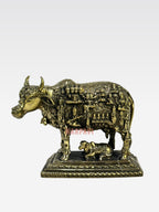 SHT COW FACE KAMADHENU B