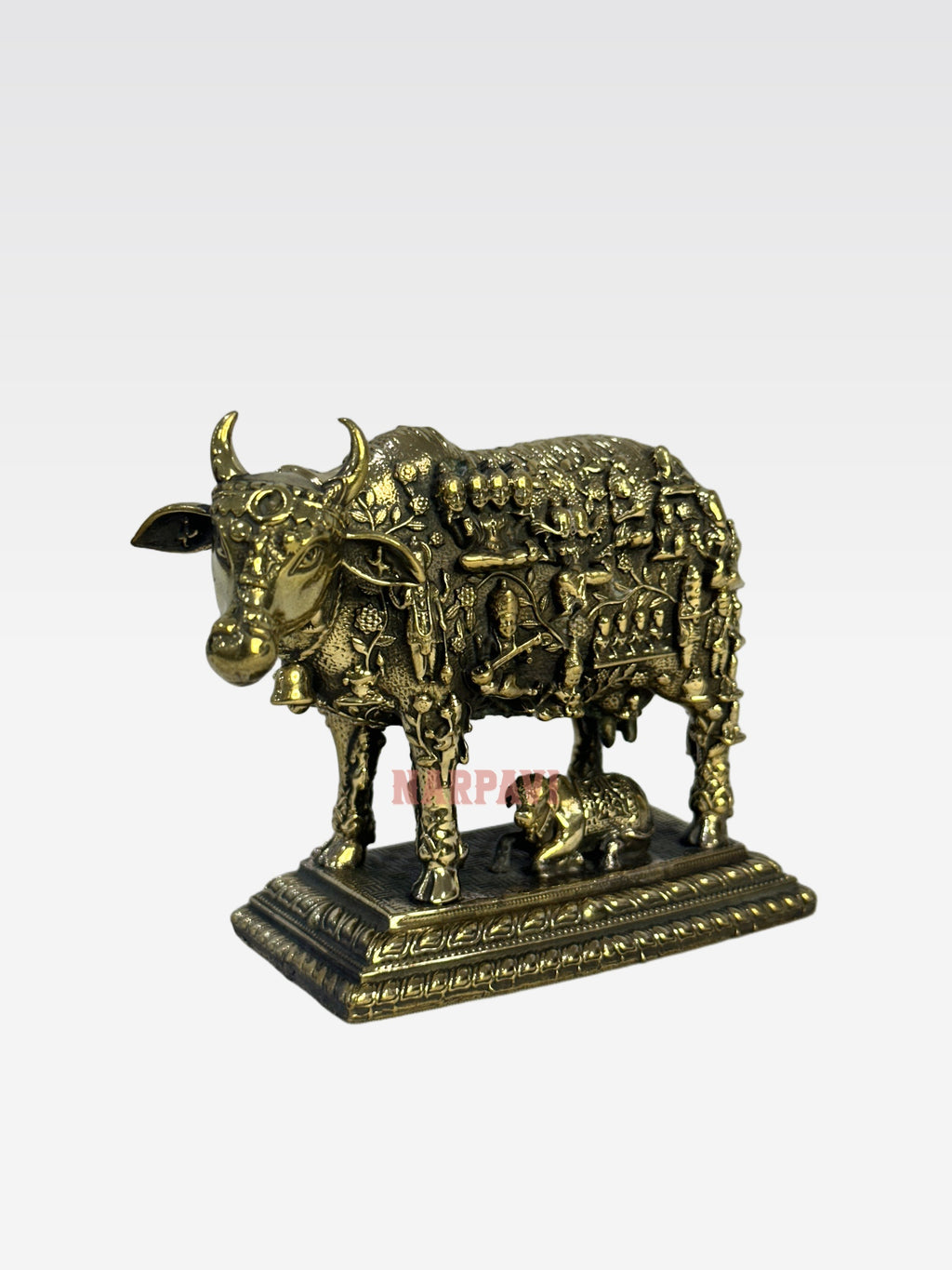 SHT COW FACE KAMADHENU B