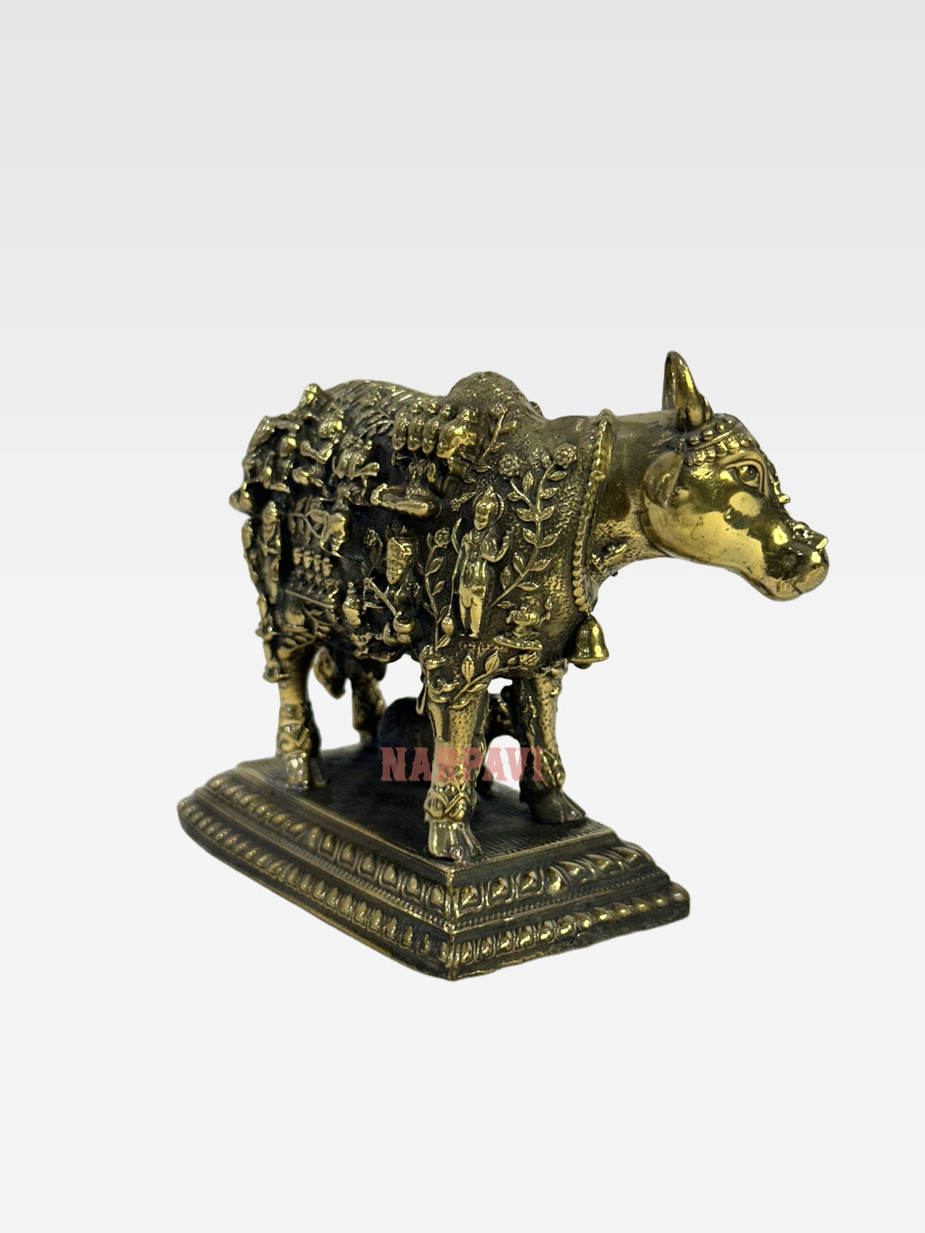SHT COW FACE KAMADHENU B