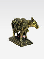SHT COW FACE KAMADHENU B