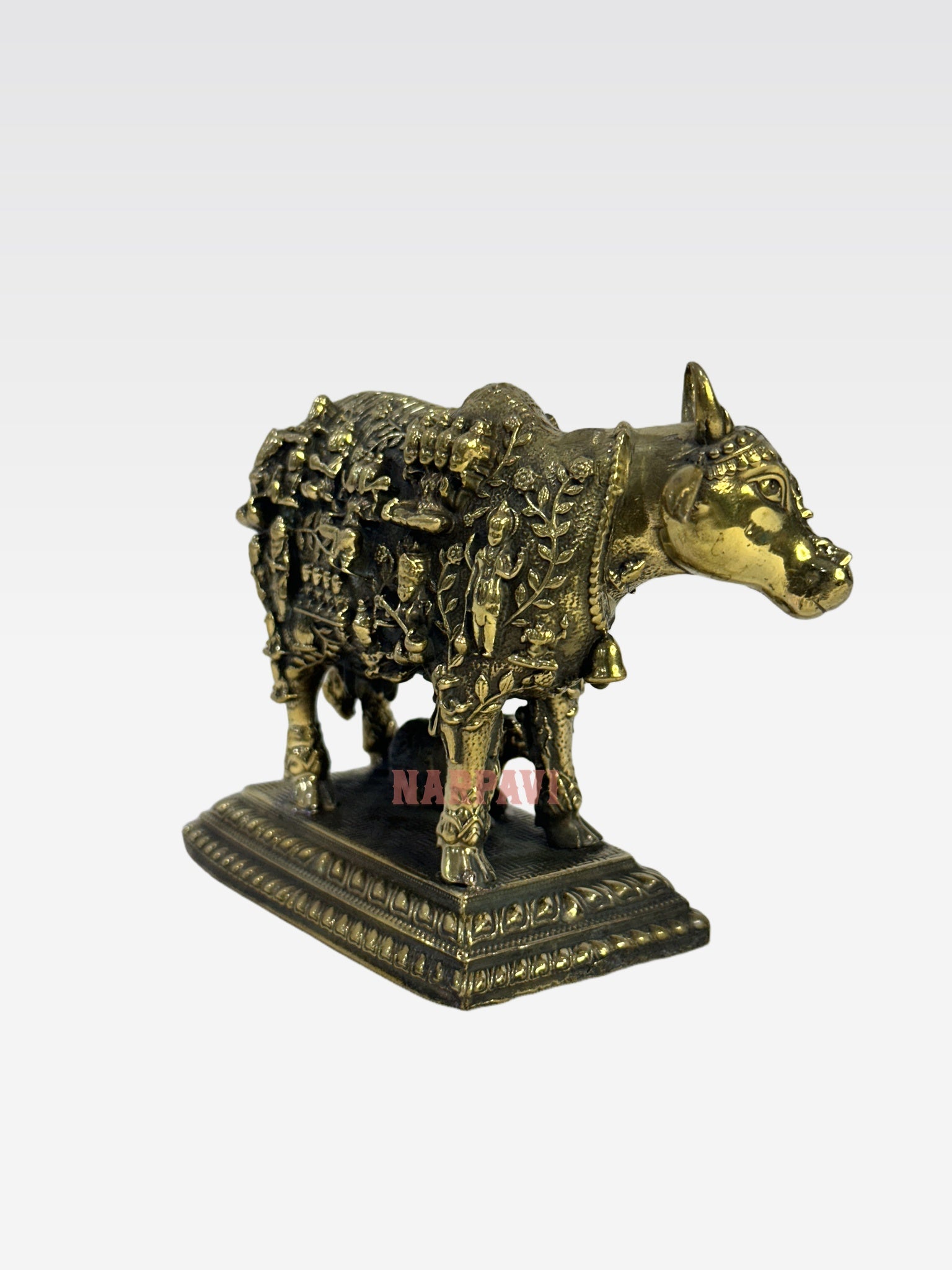 SHT COW FACE KAMADHENU B