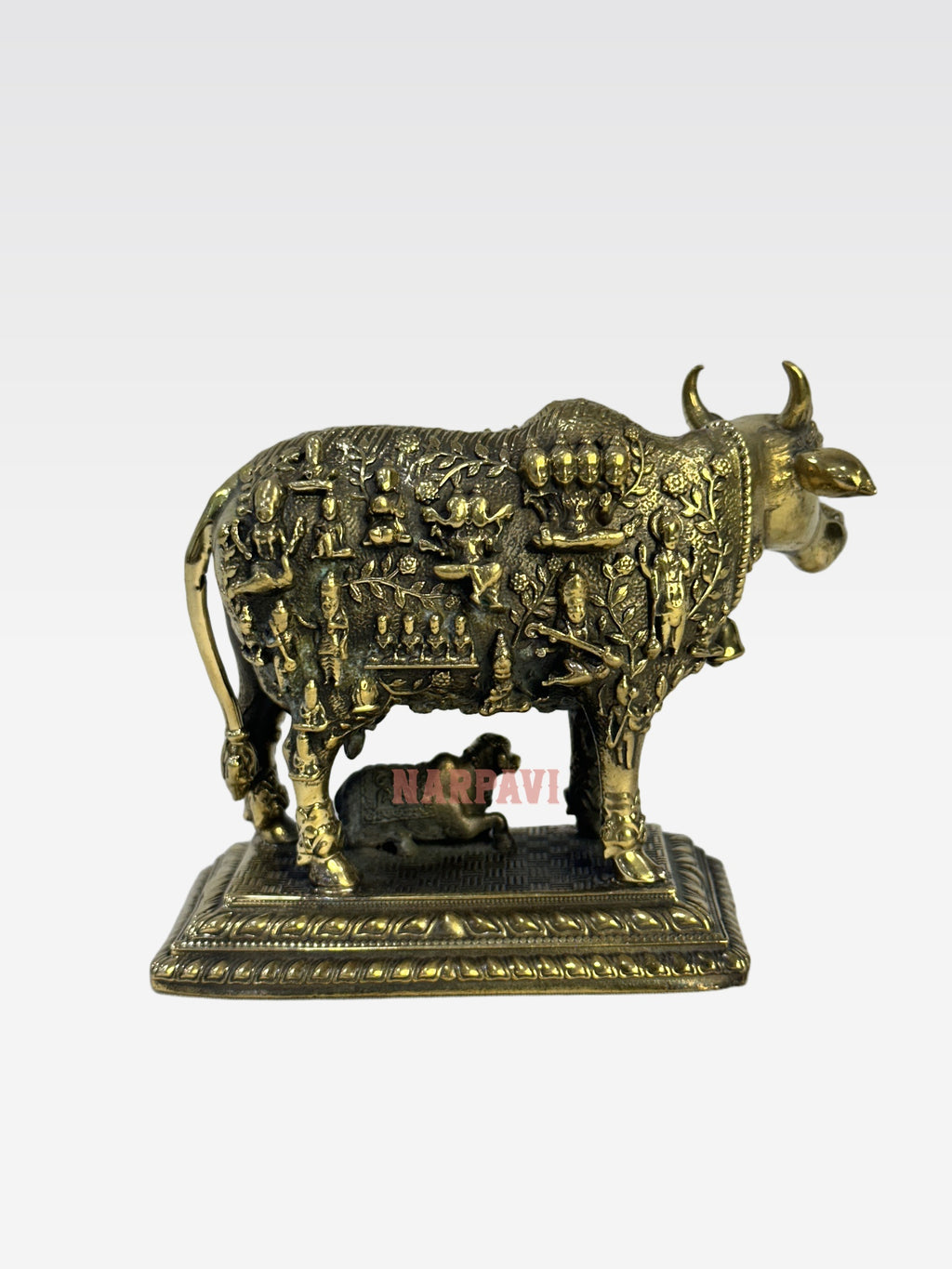 SHT COW FACE KAMADHENU B