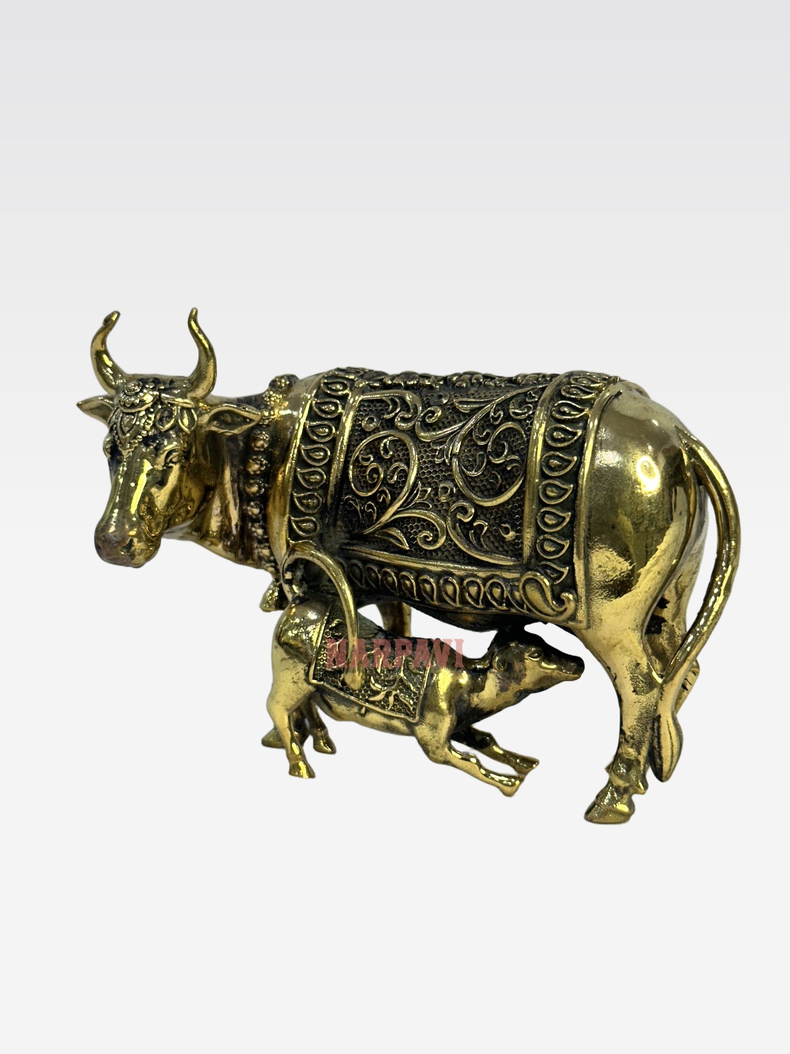 SHT COW E