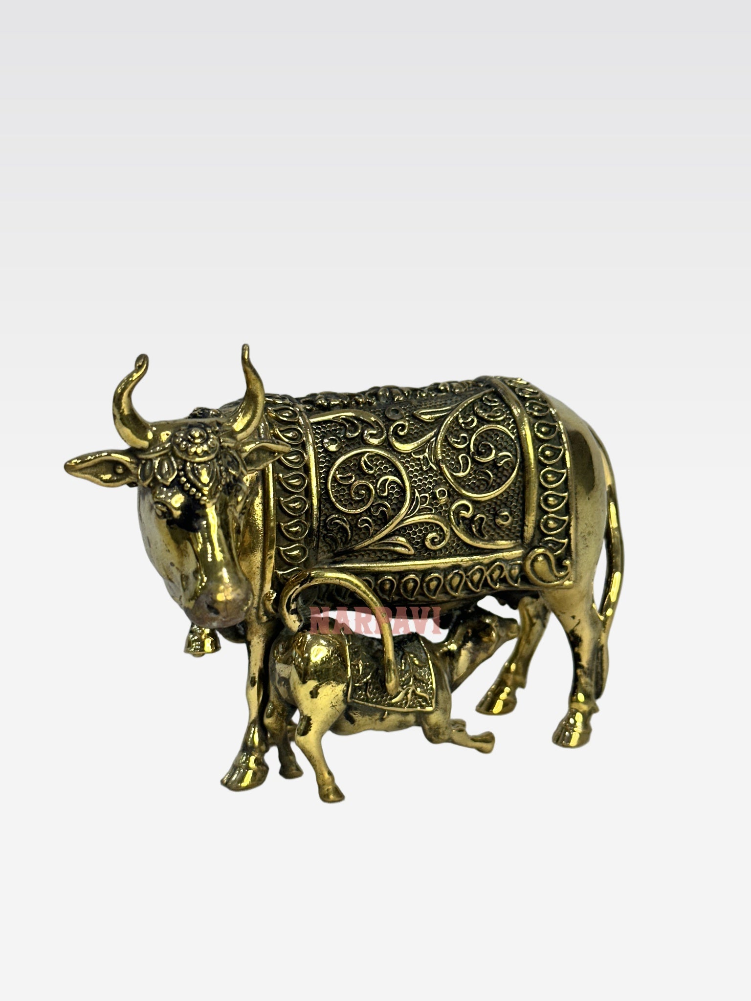 SHT COW E