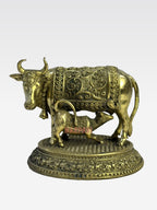 SHT COW C