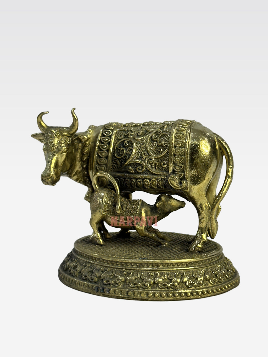 SHT COW C