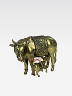 SHT COW D