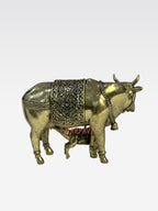 SHT COW D