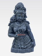 Radhi panel