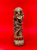 RADHAKRISHNA GOLD 102