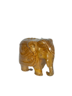 ELEPHANT UP TRUNK
