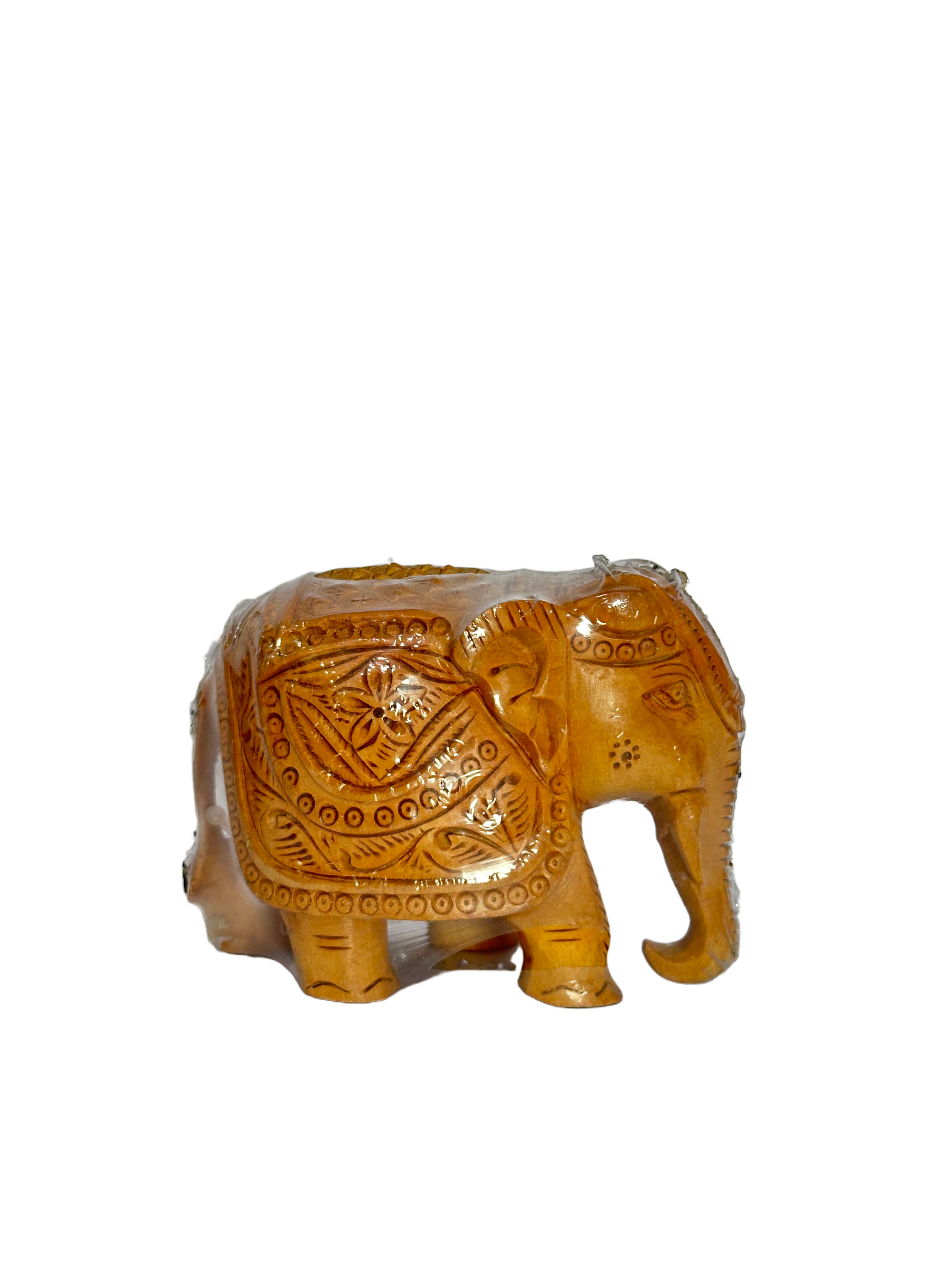 ELEPHANT UP TRUNK