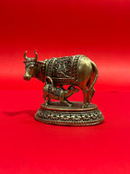 Cow 59