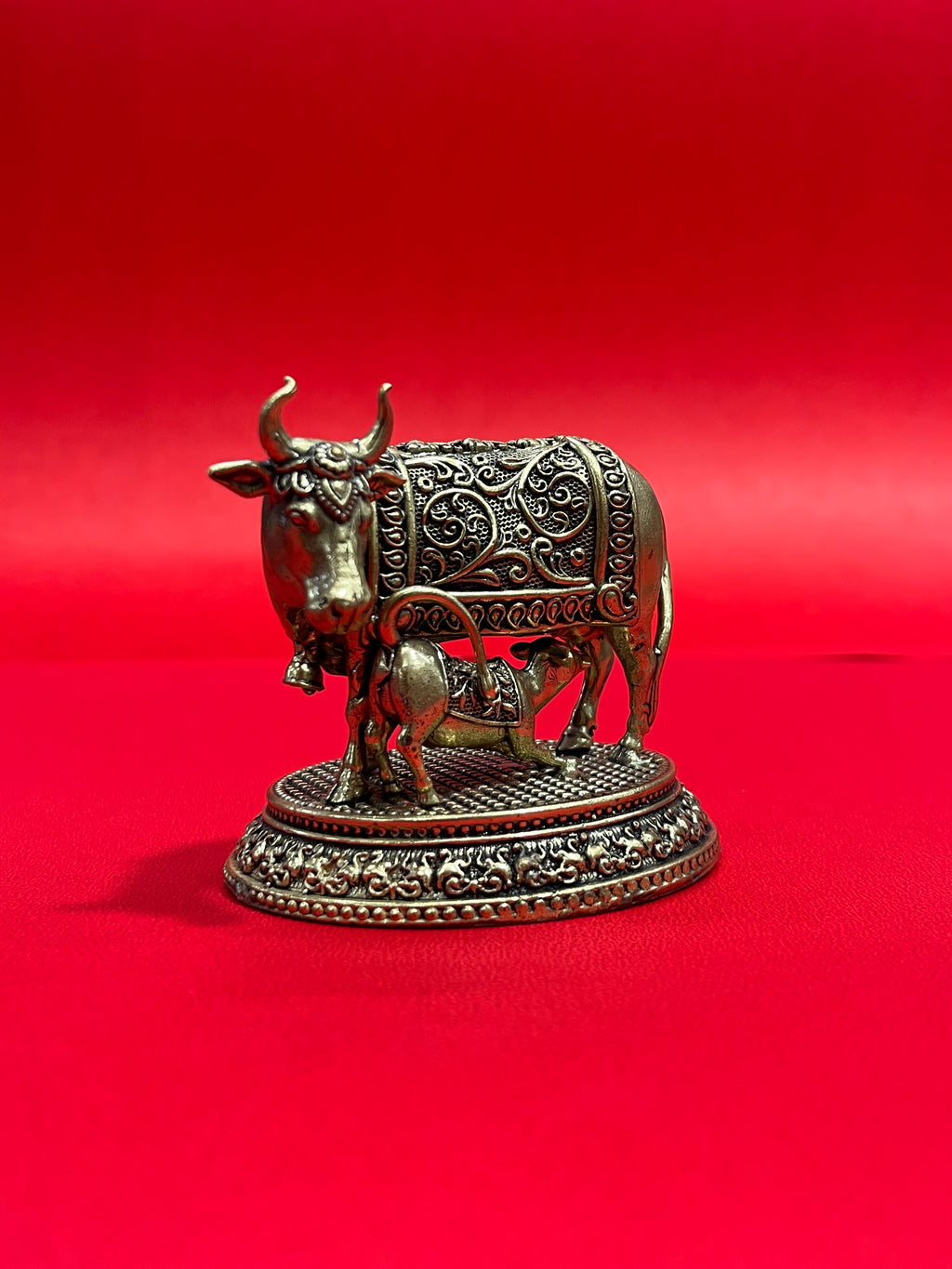 Cow 59