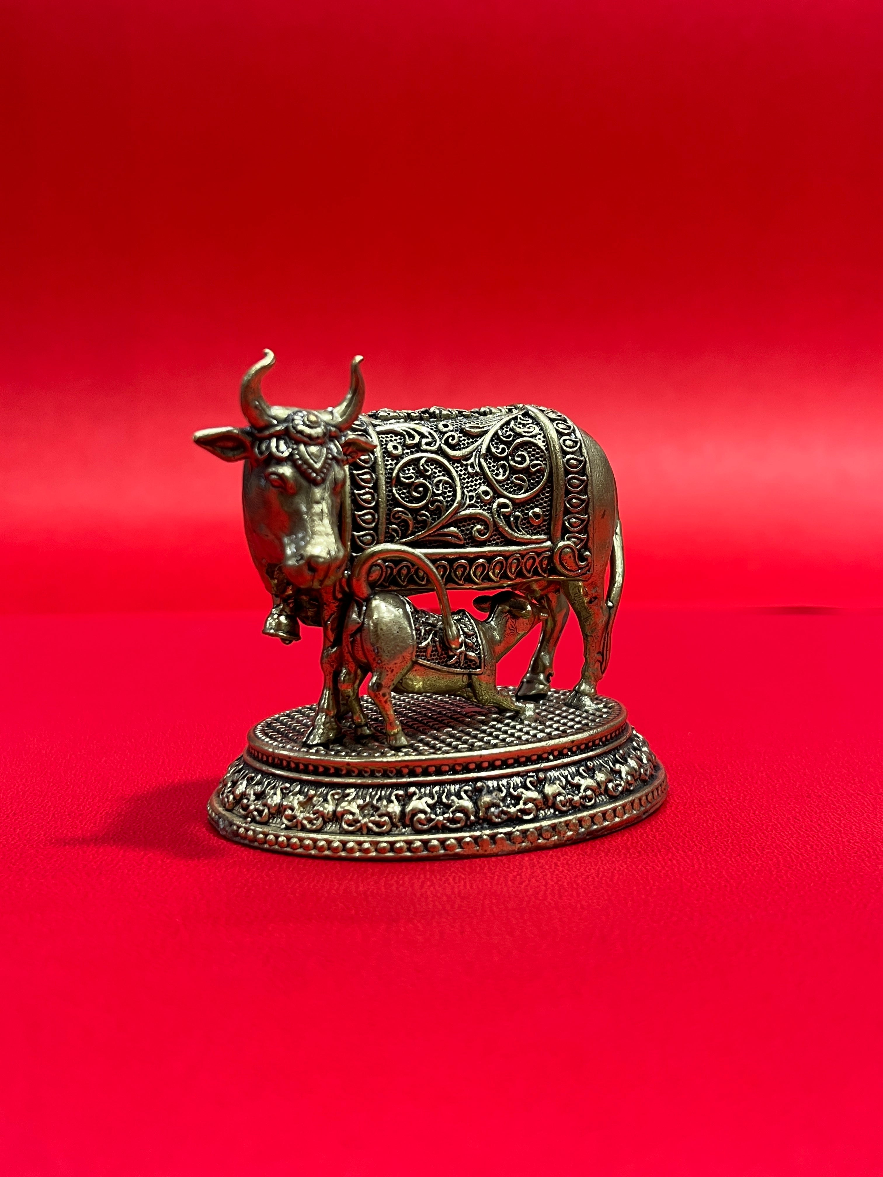 Cow 59