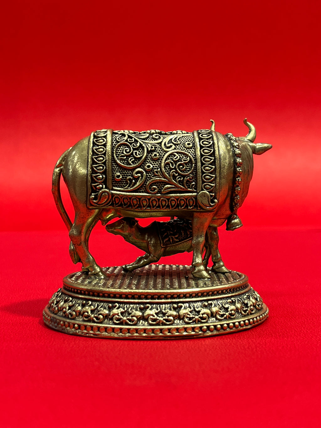 Cow 59