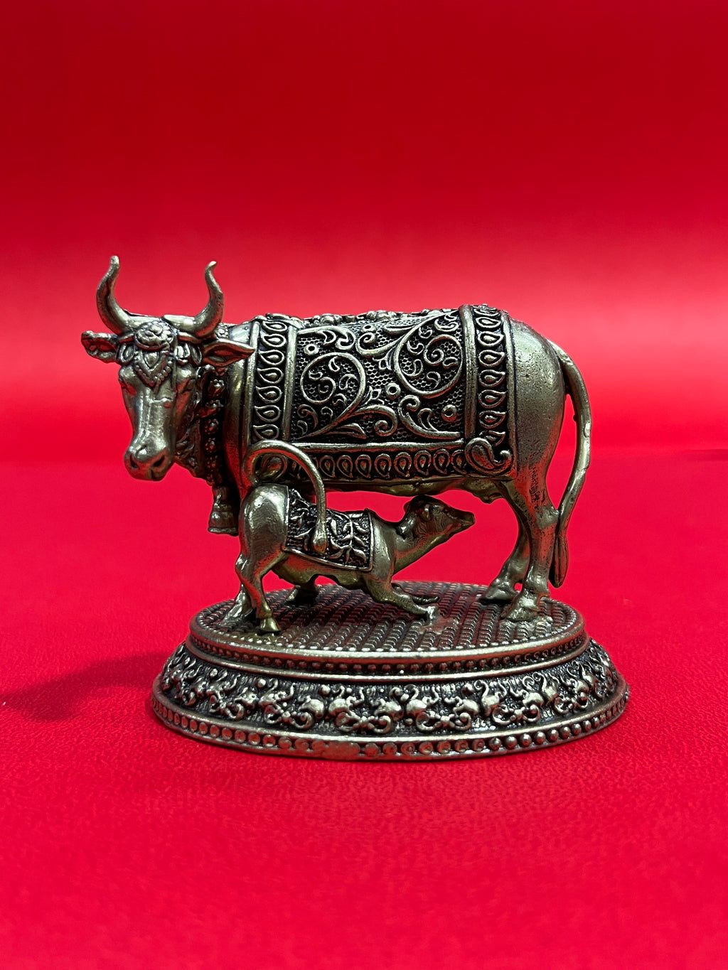 Cow 59