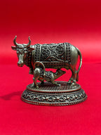Cow 59