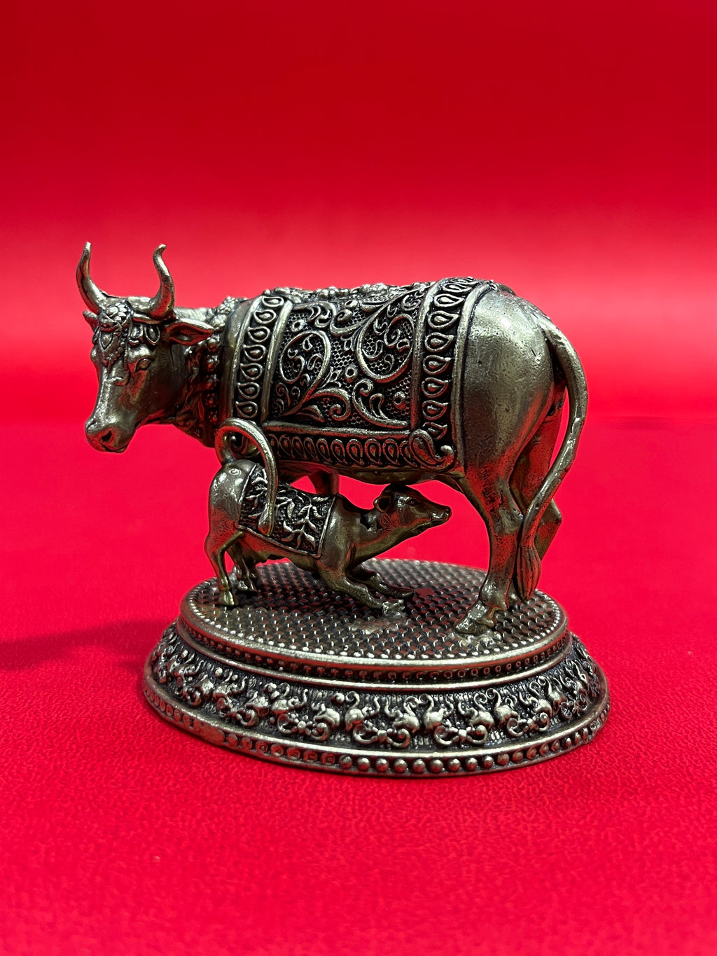 Cow 59