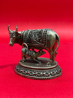 Cow 59