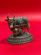 Cow 59