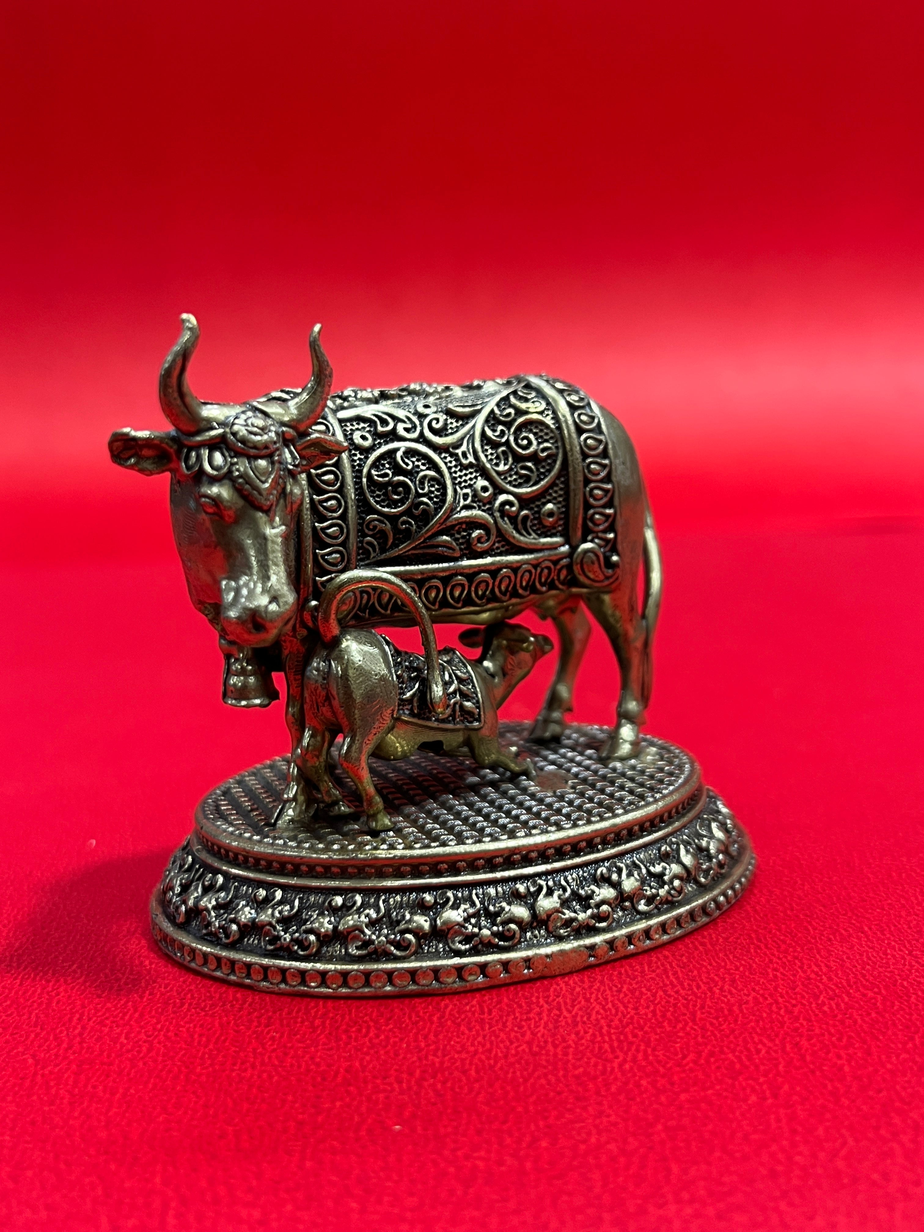 Cow 59