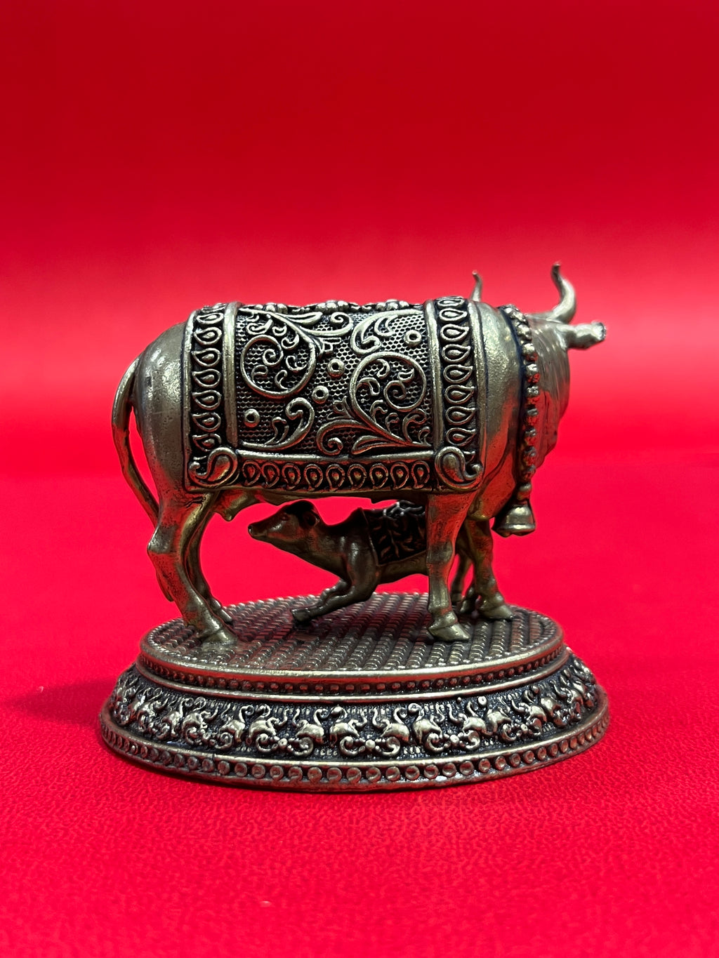 Cow 59