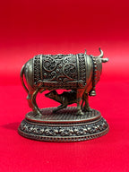Cow 59