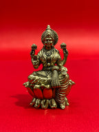 Lakshmi (S)