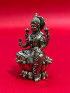 Lakshmi (S)
