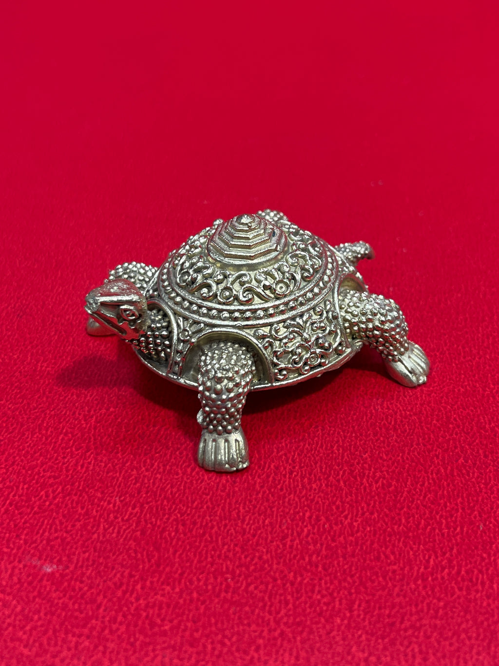 Tortoise