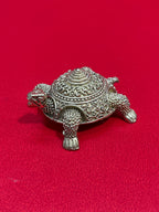Tortoise