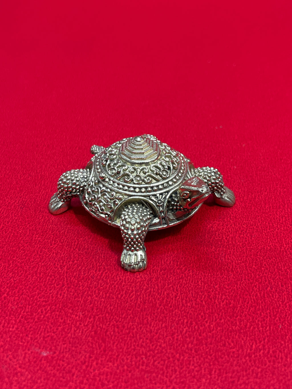Tortoise