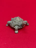 Tortoise