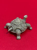 Tortoise