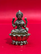 Lakshmi (S)
