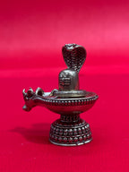 Lingam
