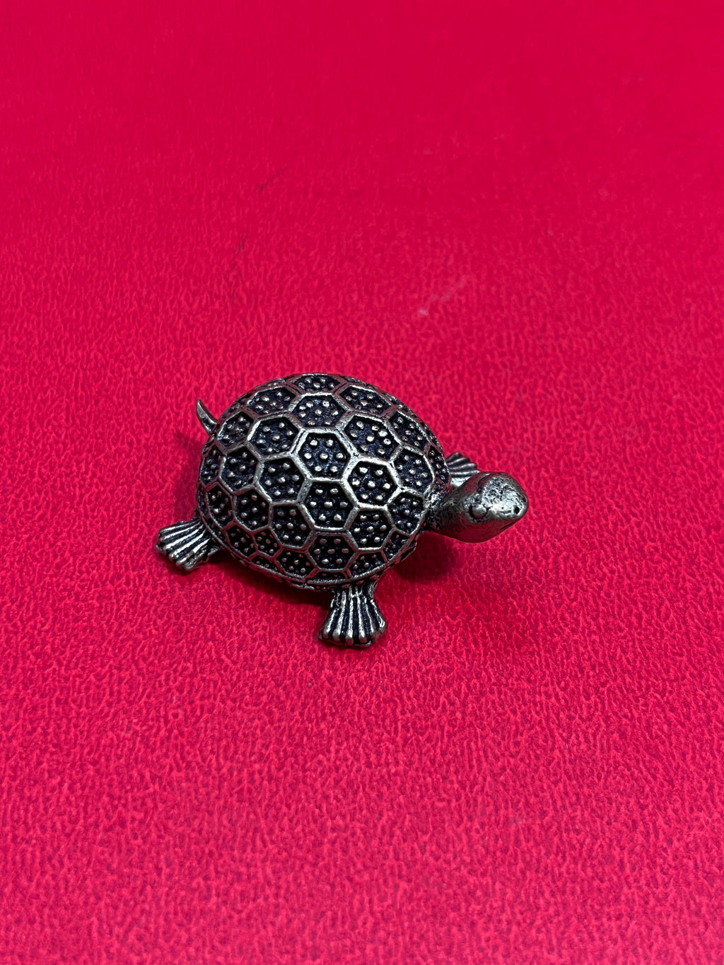 Tortoises