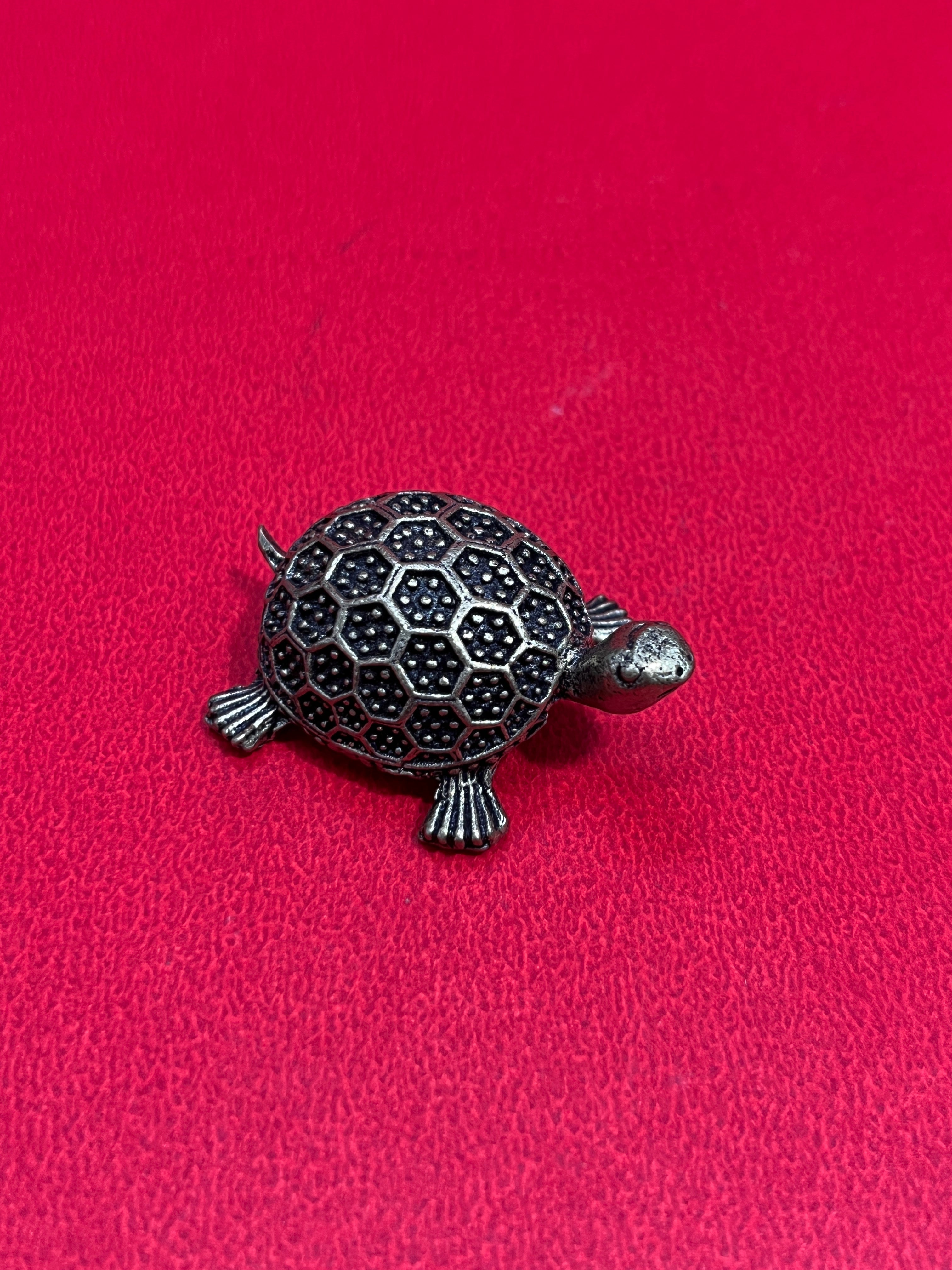 Tortoises