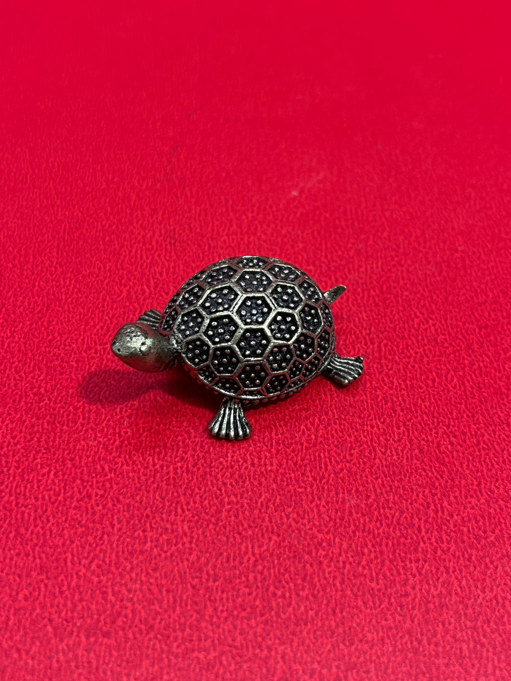 Tortoises