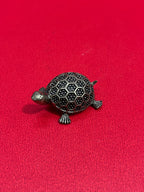 Tortoises