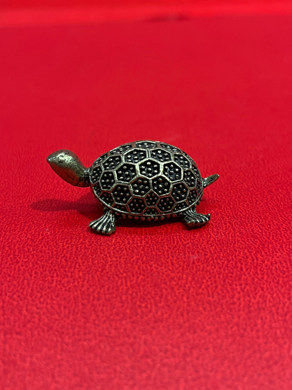 Tortoises
