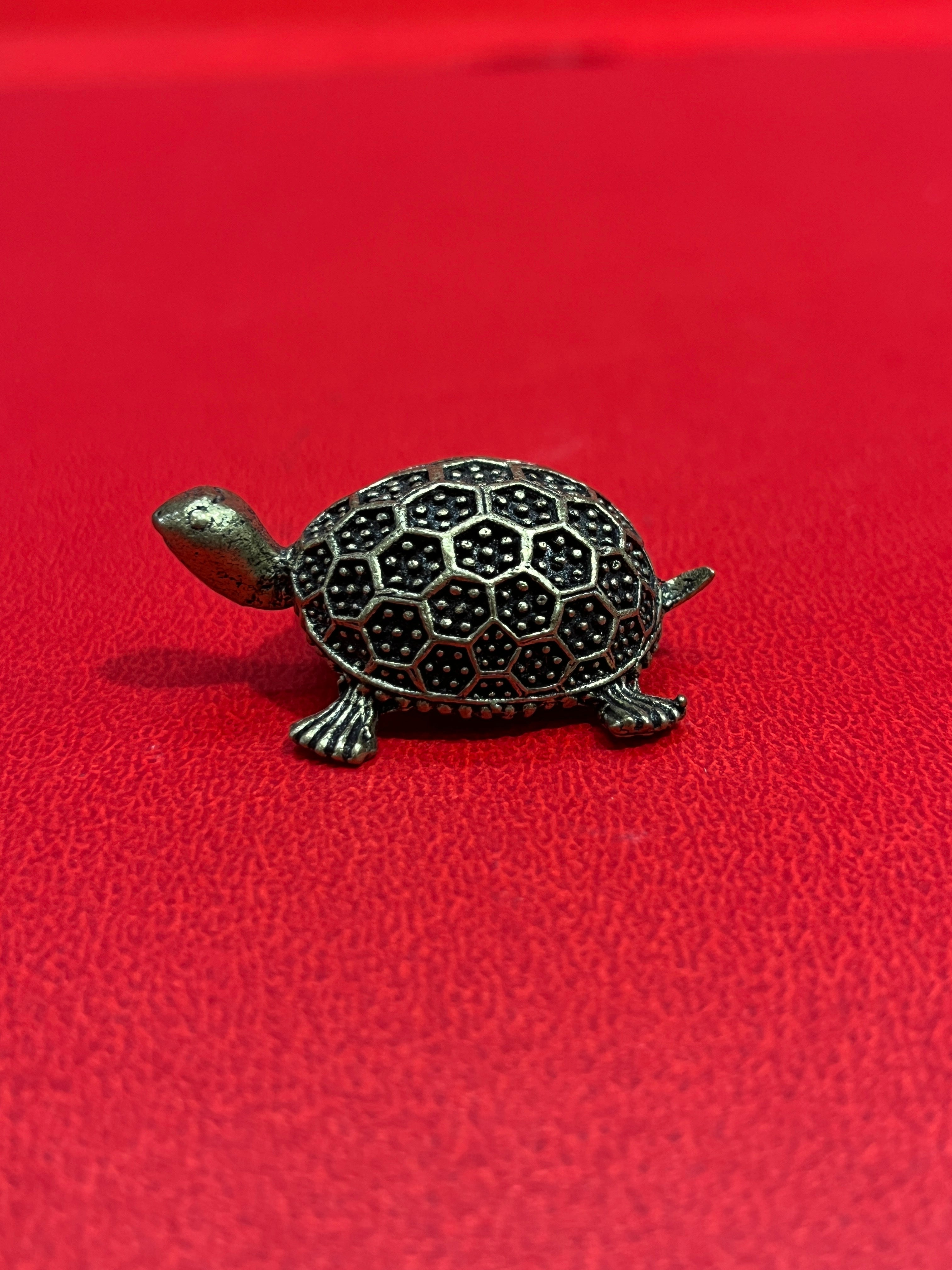 Tortoises