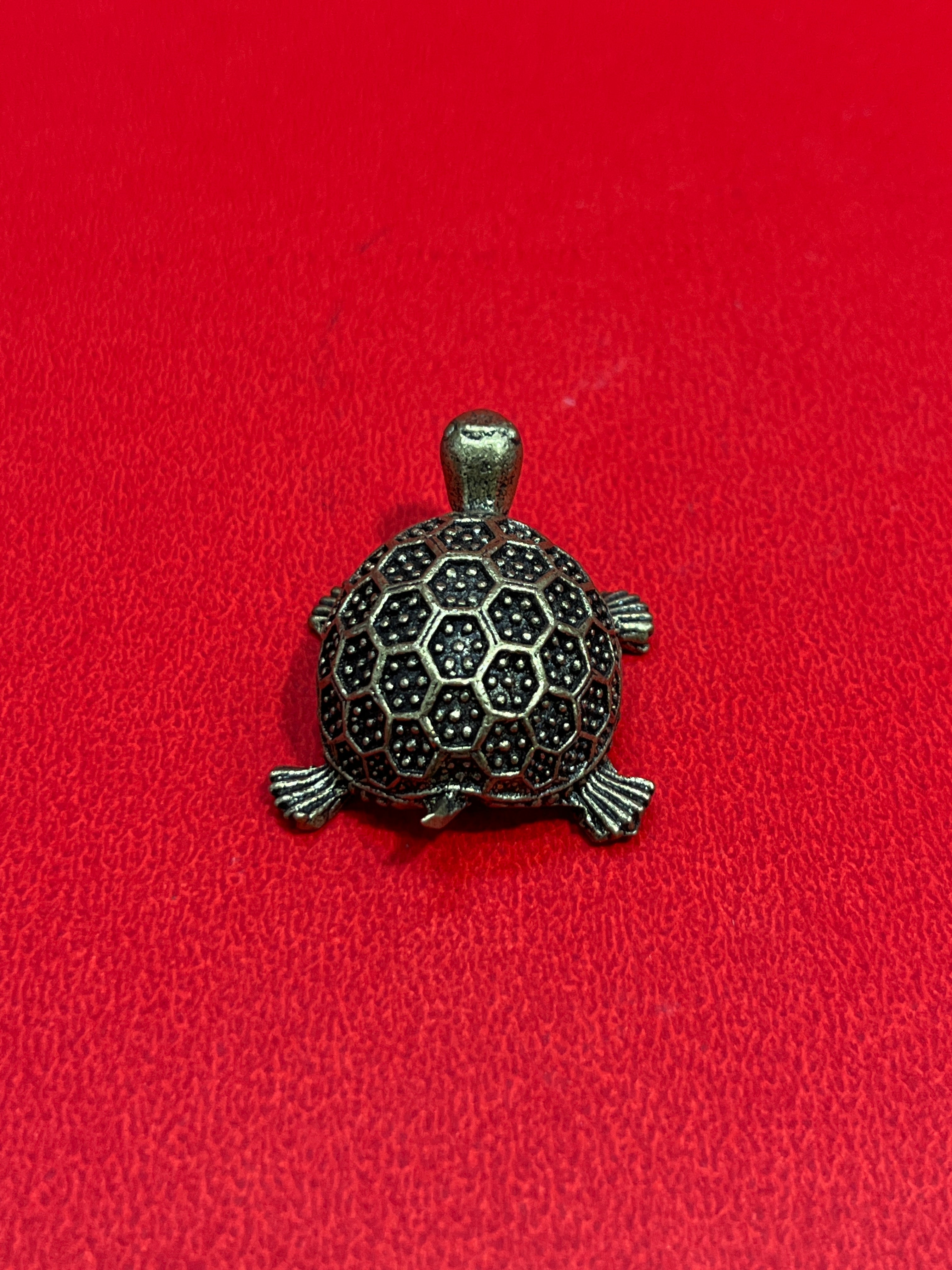 Tortoises