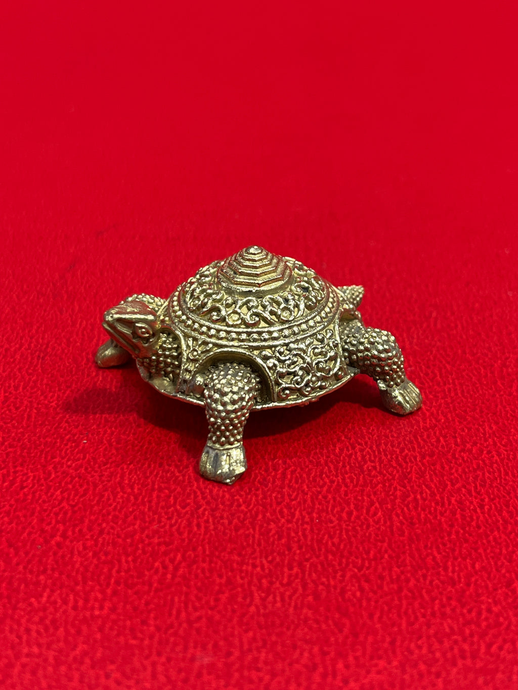 Tortoises